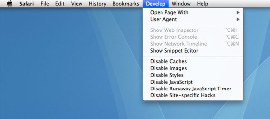 Develop menu in Safari